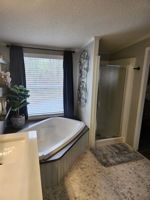 Shower, jetted tub, hair dryer, towels