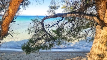 Apartment, 4 Bedrooms, Balcony, Ocean View | Beach