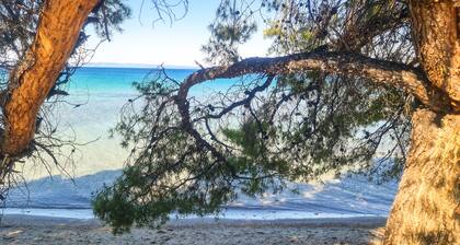 Luxury Apartment in Akti Elias Sithonia