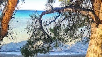 Apartment, 4 Bedrooms, Balcony, Ocean View | Beach