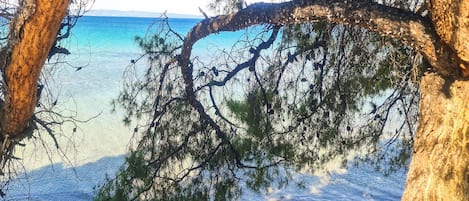 Apartamento, 4 quartos, sacada, vista para o oceano | Praia