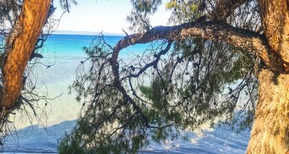 Luxury Apartment in Akti Elias Sithonia