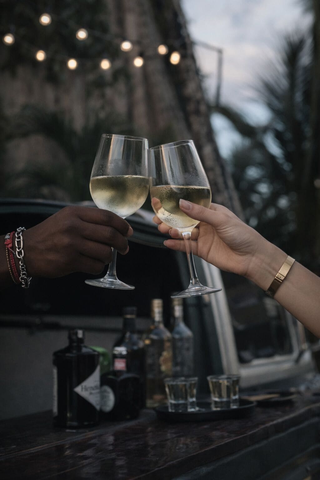 Two people holding wine glasses at a bar with bottles and glasses on the counter.