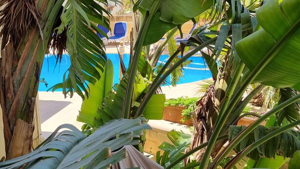 A lush garden with banana plants and a pool in the background. - Villa Serenity B&b (Sannat)