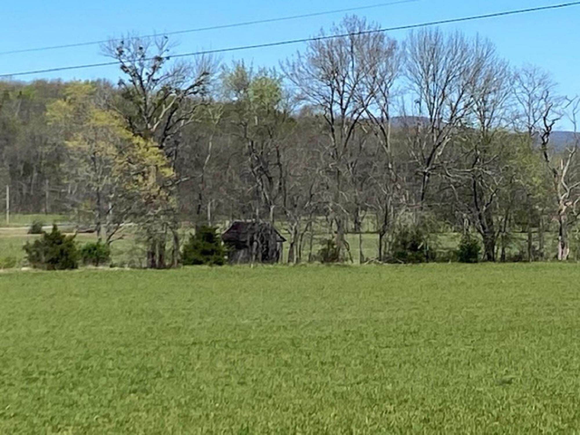 Mountain Point of View Cottage