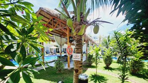 Un área de piscina con una estructura de techo de paja, un letrero que indica zona para fumadores y una palmera con cocos.