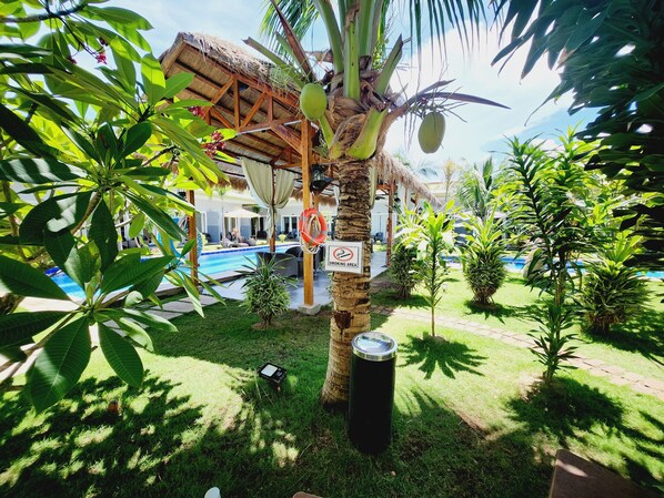 A pool area with a thatched roof structure, a sign indicating a smoking area, and a palm tree with coconuts. - Danbi Resort (Panglao)