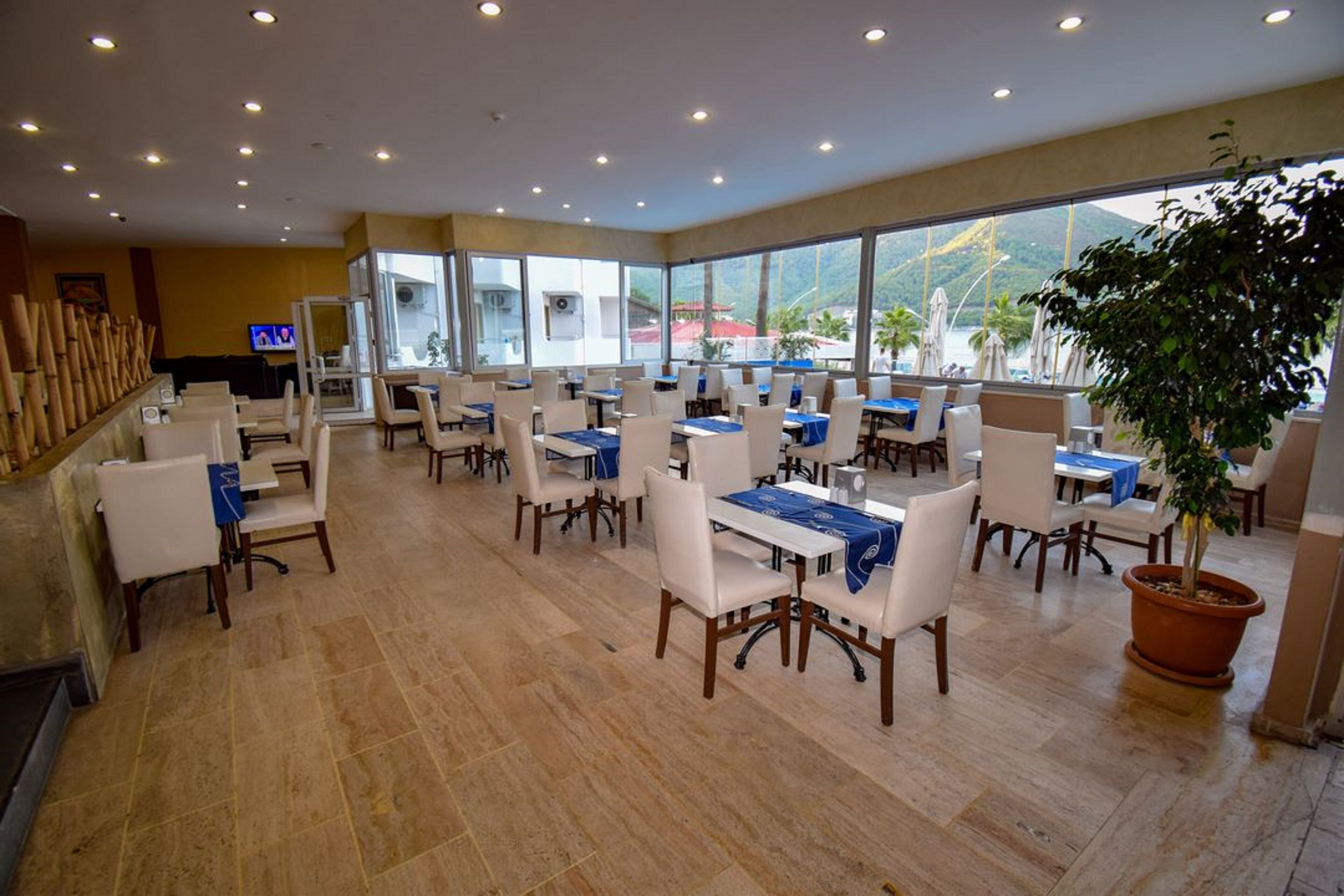 A spacious dining area with multiple tables and chairs, large windows offering a view of the outdoors, and a potted plant in the corner.