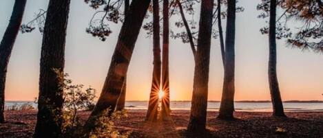 Ubicación cercana a la playa