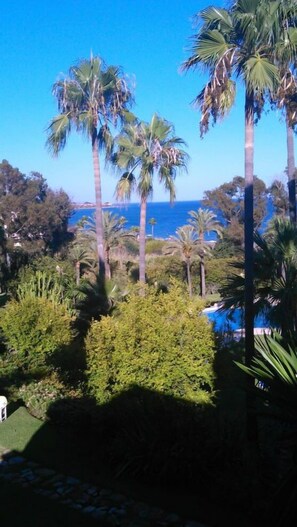 Property grounds - Exclusive beachfront property (Estepona)