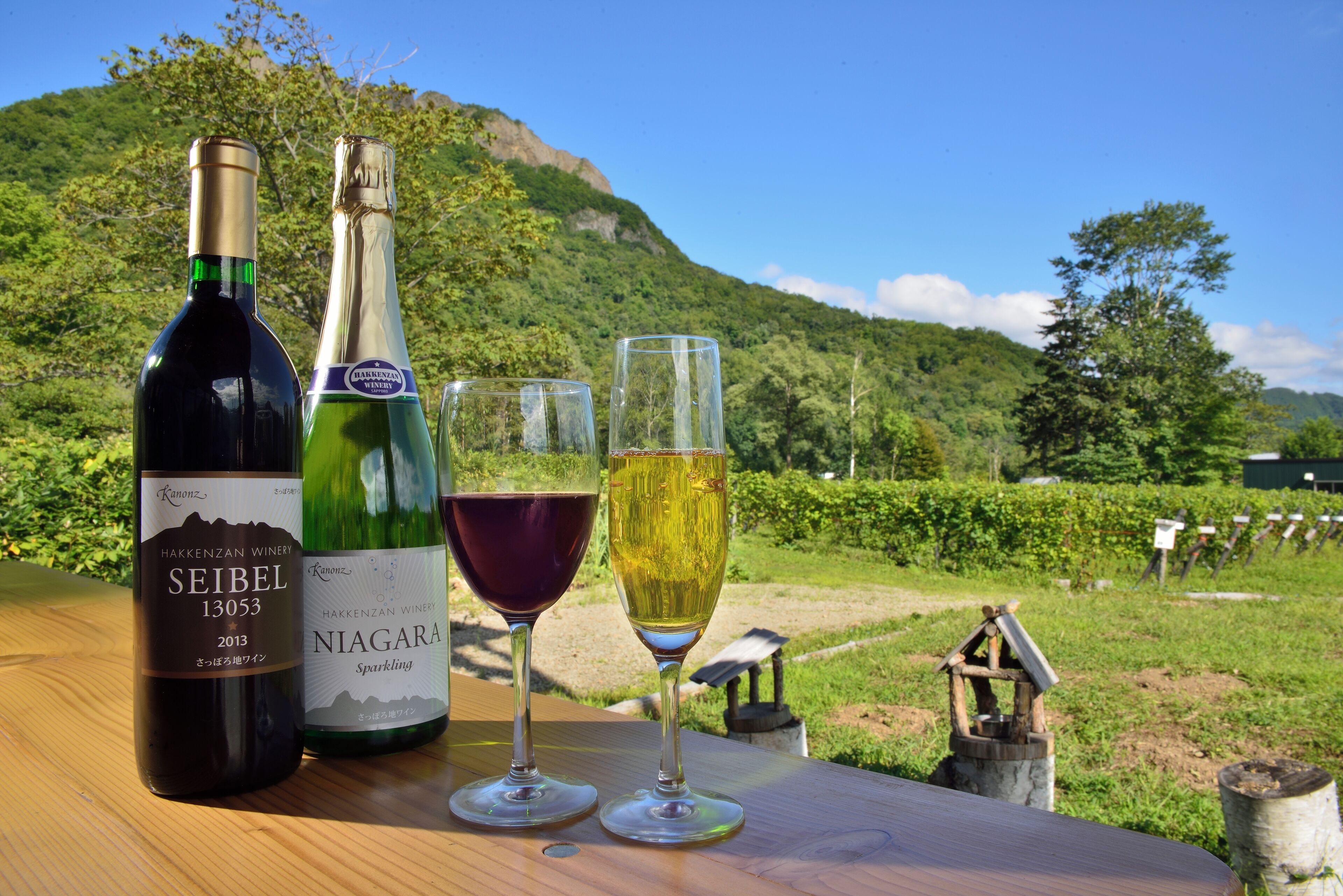 A bottle of Seibel 13053 wine and two glasses on a wooden table with a vineyard view.
