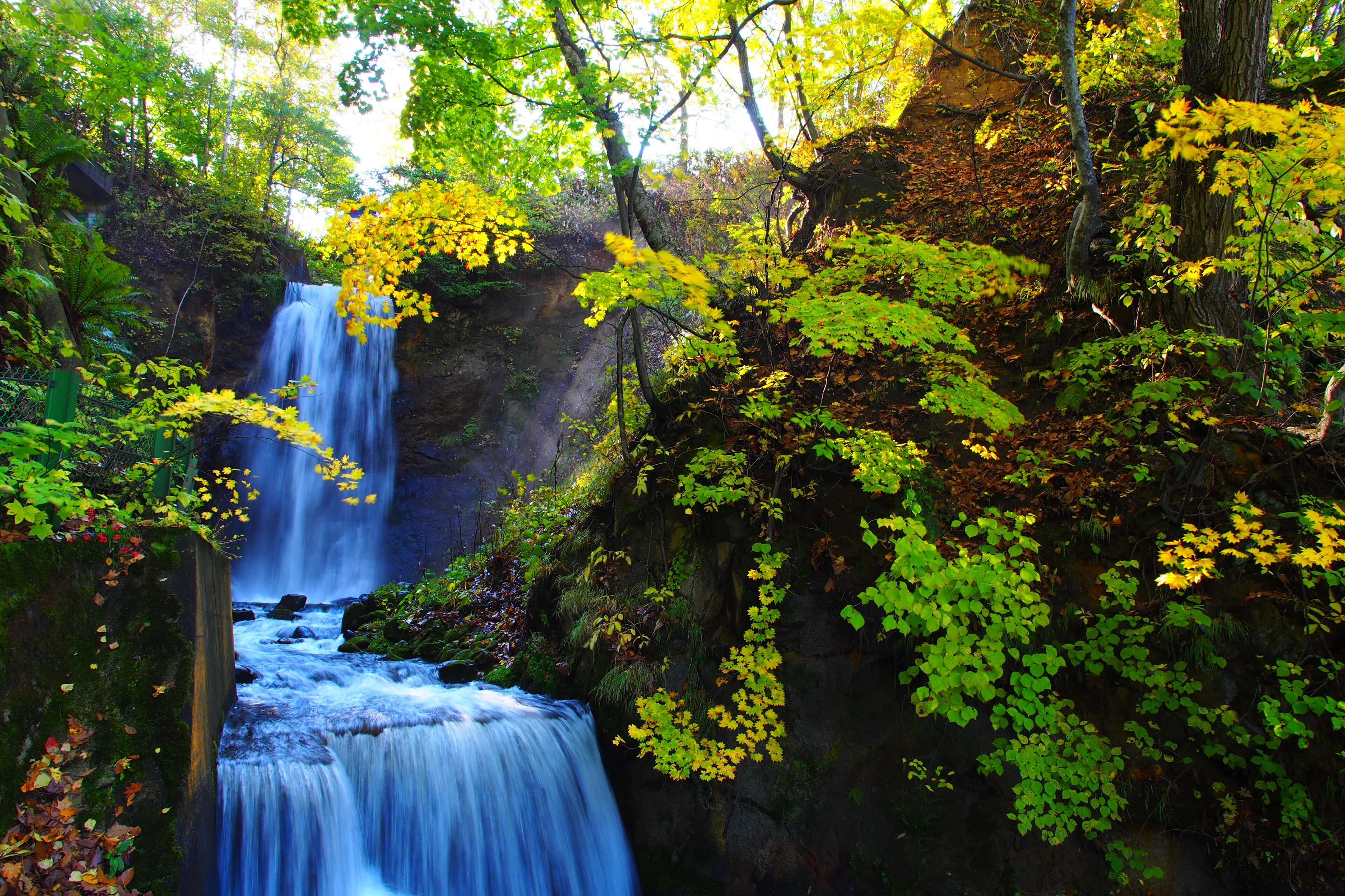 A waterfall surrounded by lush greenery and trees.