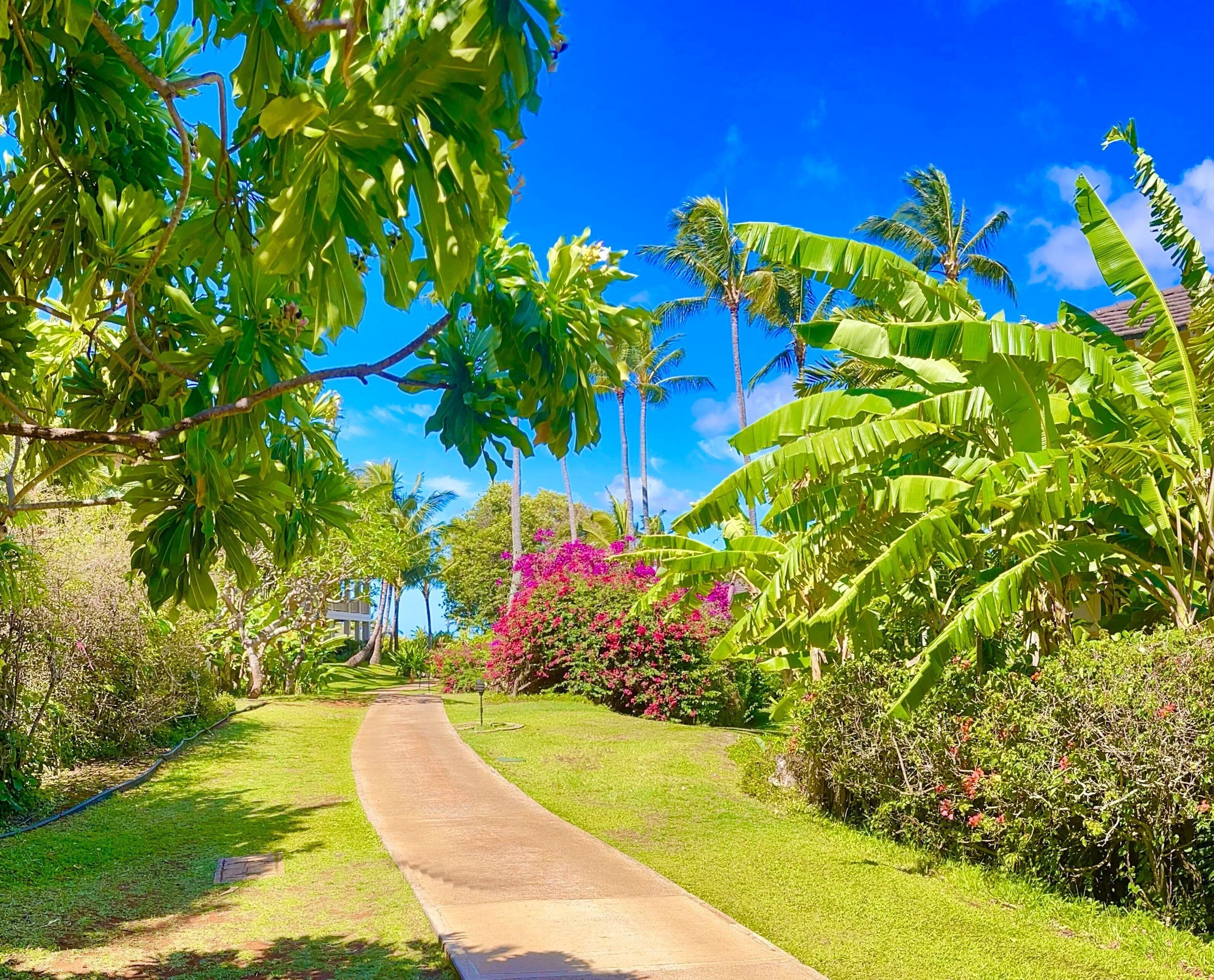 Condo, 2 Bedrooms | Property grounds