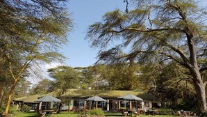 Un chalet doté d’un espace extérieur aménagé sous de grands arbres, entouré d’une pelouse.