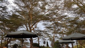 Un espace extérieur aménagé avec des chaises et des tables en bois, entouré de grands arbres.