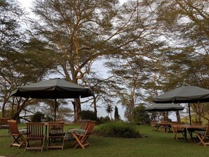 Khu ẩm thực ngoài trời