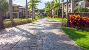 A paved walkway with stone tiles, flanked by palm trees and a stone wall with colorful flowers. - Kauai Pili Mai by Coldwell Banker Island Vacations (Koloa)
