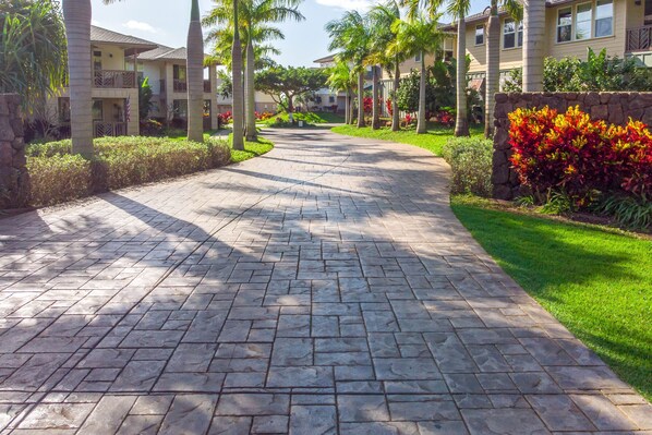 A paved walkway with stone tiles, flanked by palm trees and a stone wall with colorful flowers.