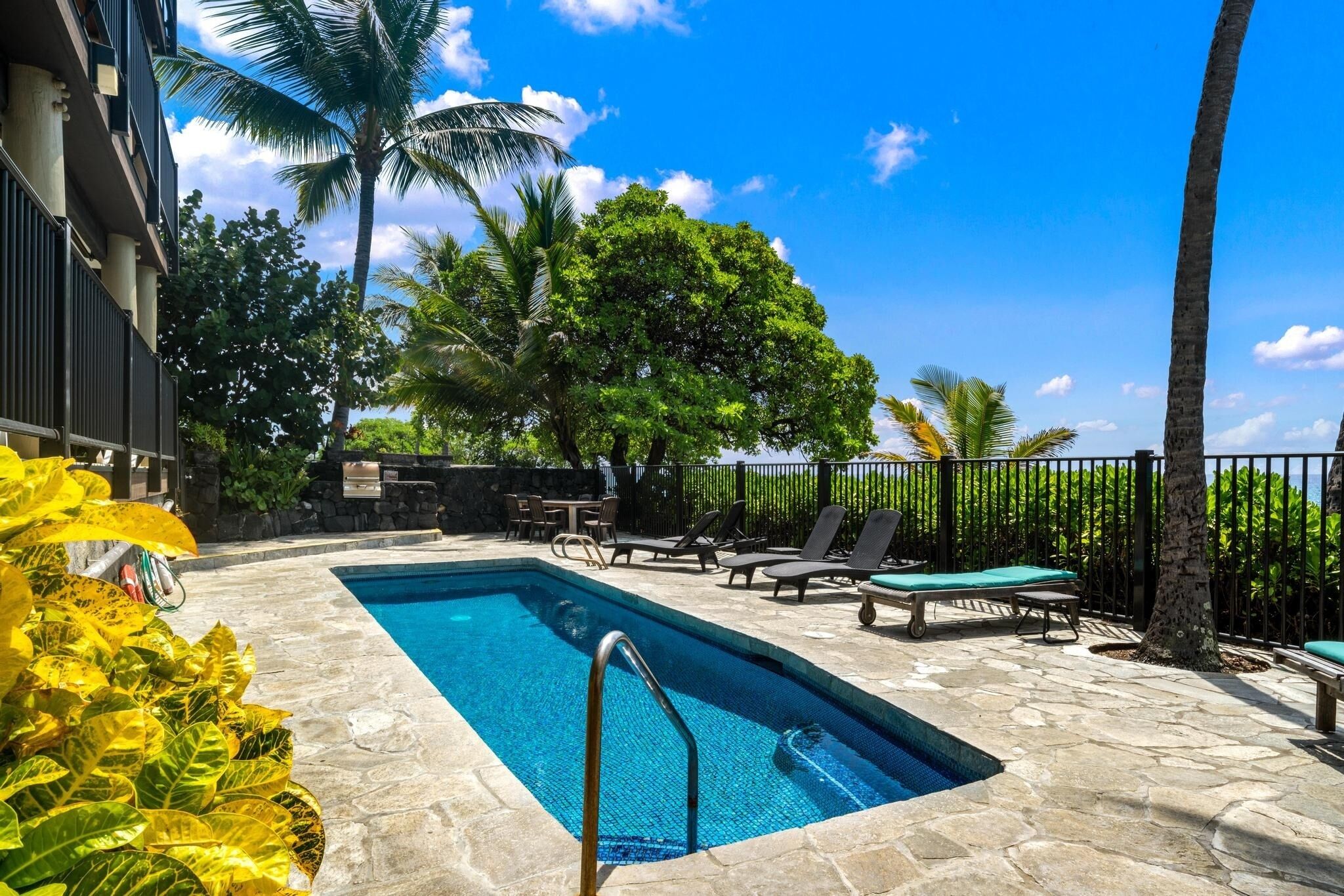 A rectangular swimming pool with a stone deck, surrounded by lounge chairs and a palm tree.