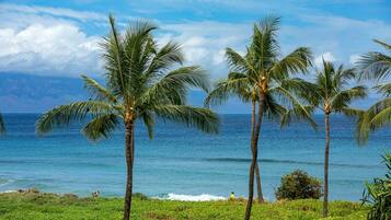 Appartamento, 2 camere da letto | Spiaggia | Sulla spiaggia