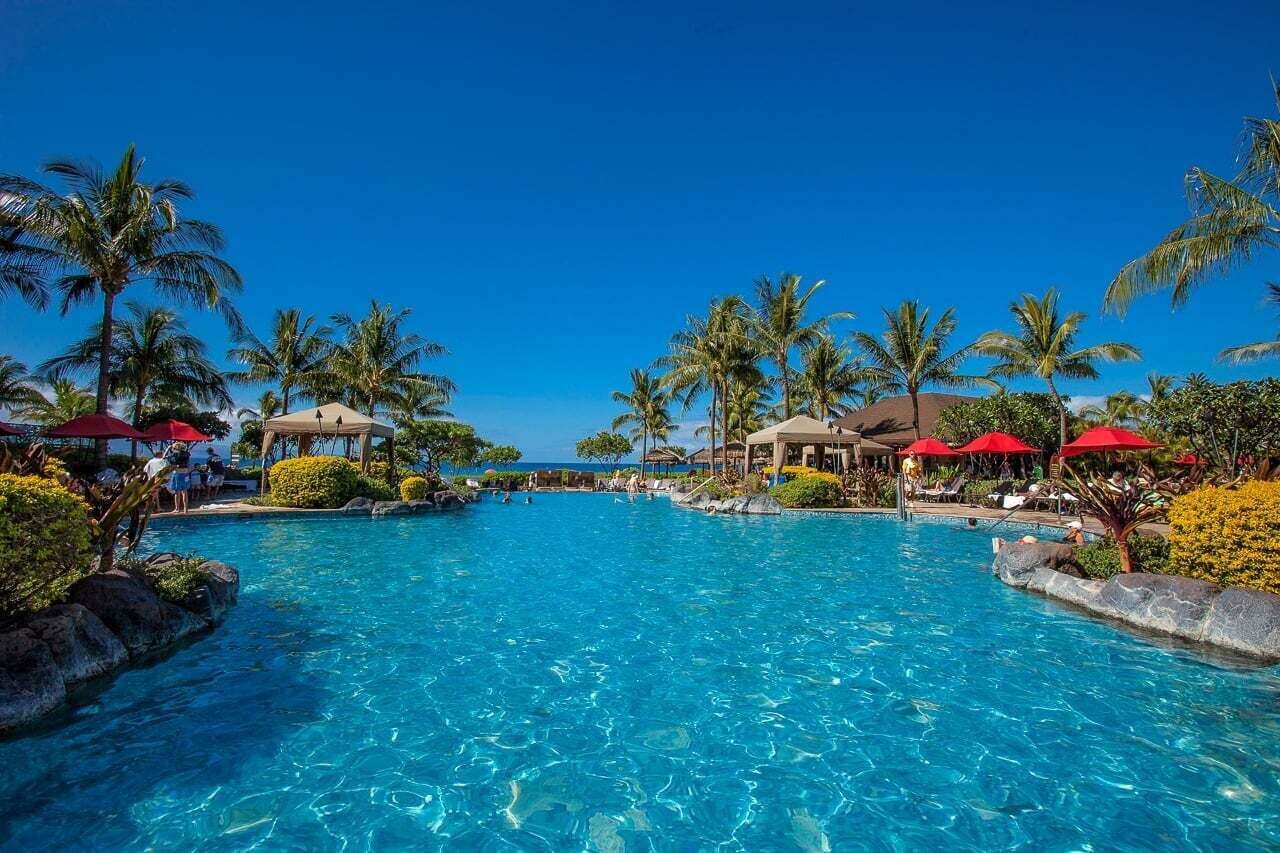 A resort pool with clear blue water, surrounded by palm trees and red umbrellas.