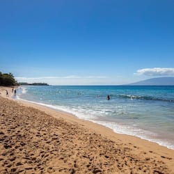 Condo, 2 Bedrooms | Beach | On the beach