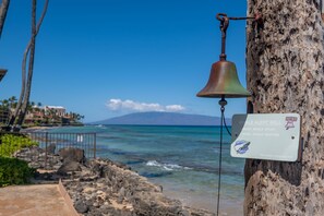 Condo, 1 habitación | Áreas de la propiedad