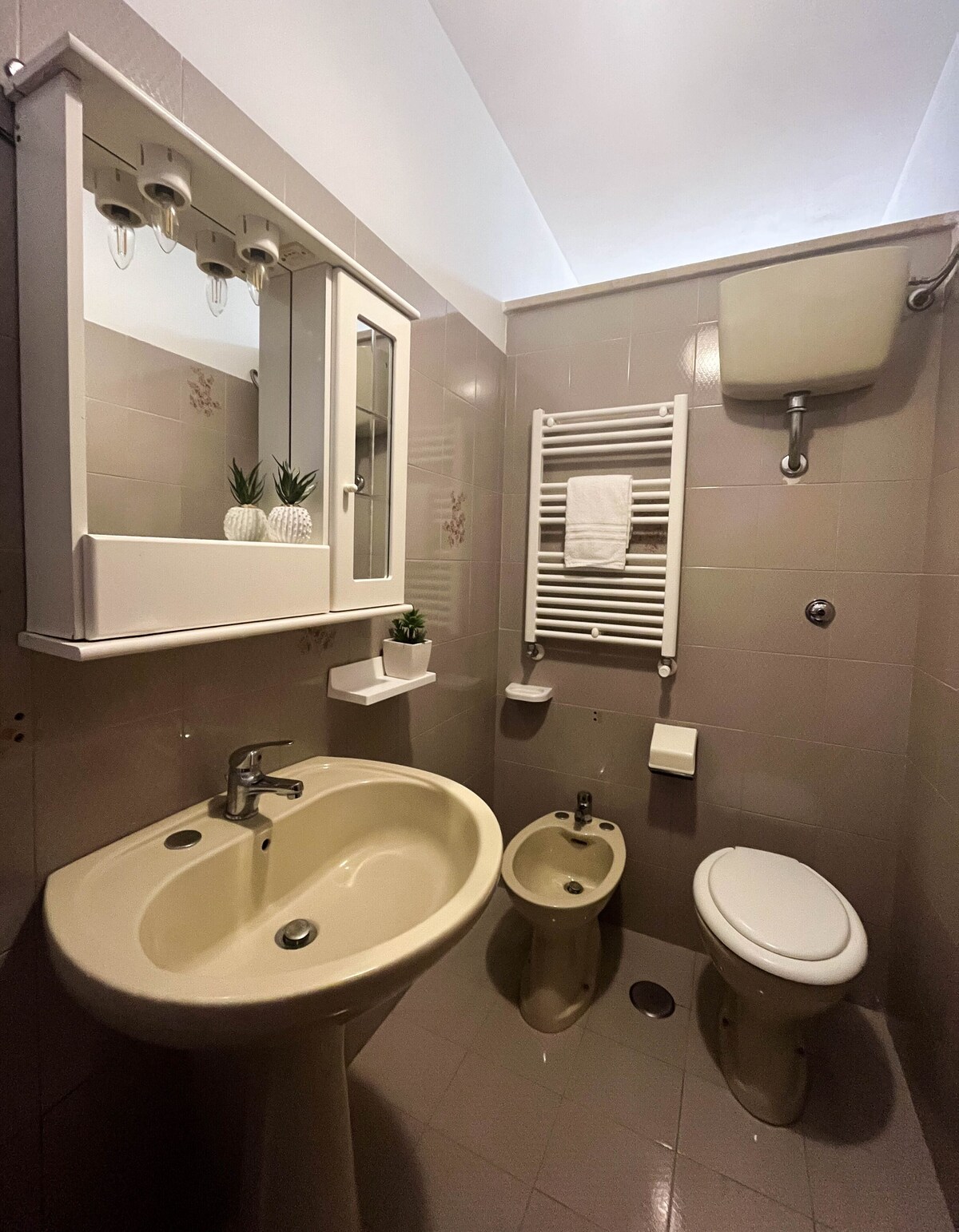 Imagen de perfil del propietario o de la propietaria