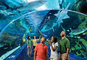 Photo non classée, 5 sur 51, bouton