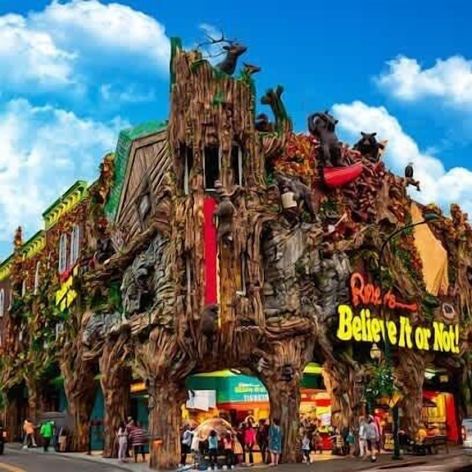 A treehouse-like structure with a sign that reads "Believe It or Not!".