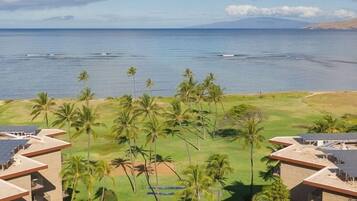 A resort with a pool, palm trees, and a view of the ocean.