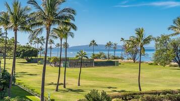 Condo, 1 habitación | Cancha deportiva