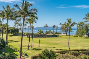 Un campo da golf con palme e vista sull'oceano.