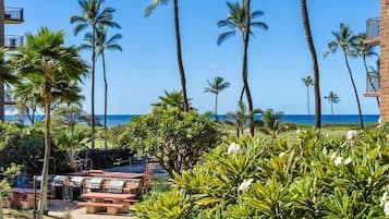 Condo, 1 Bedroom | Property grounds