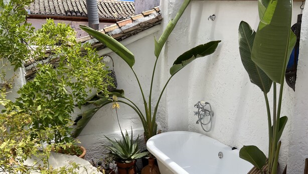 Une petite salle de bain fermée, avec une baignoire blanche, des plantes en pot et un toit carrelé visible au fond.