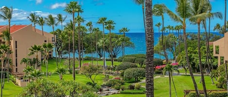 Condo, 1 Bedroom | Property grounds