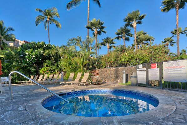 Condo, 1 Bedroom | Pool