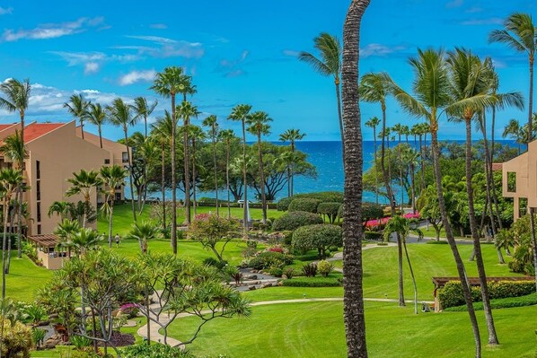 Un resort con varias construcciones, palmeras y vista al océano.