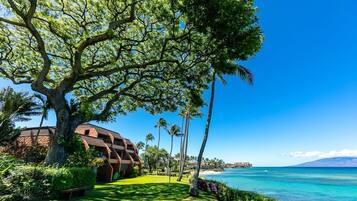 Leilighet, 1 soverom | Overnattingsstedets uteområder