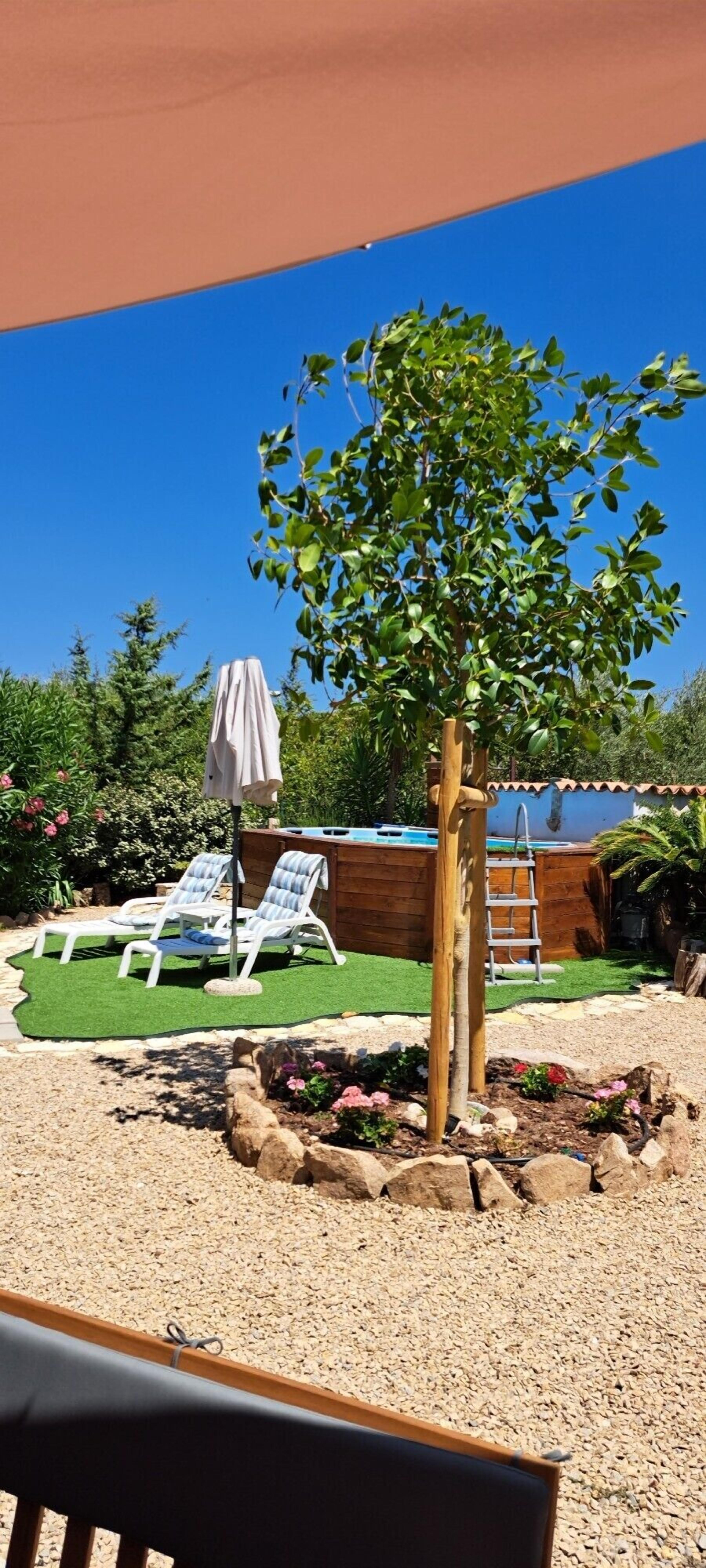 A garden with a pool, lounge chairs, and a wooden deck.