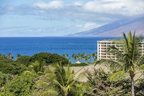 Vista costera con un edificio que domina el océano, rodeado de vegetación exuberante y palmeras.