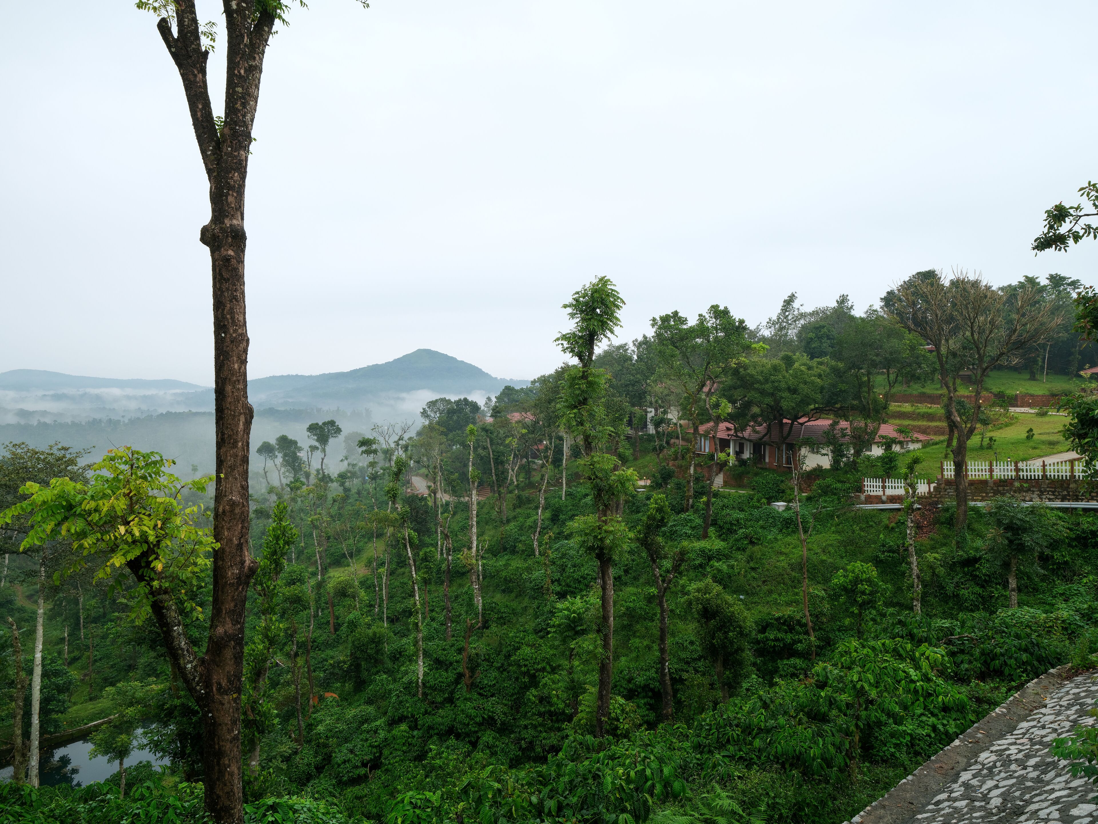A lush green landscape with a mountain in the background and a building with a red roof.