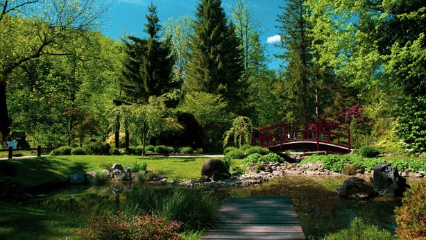 A serene garden with a pond, a wooden bridge, and lush greenery. - Honeycomb Chalets and Apartments Mozirje (Mozirje)
