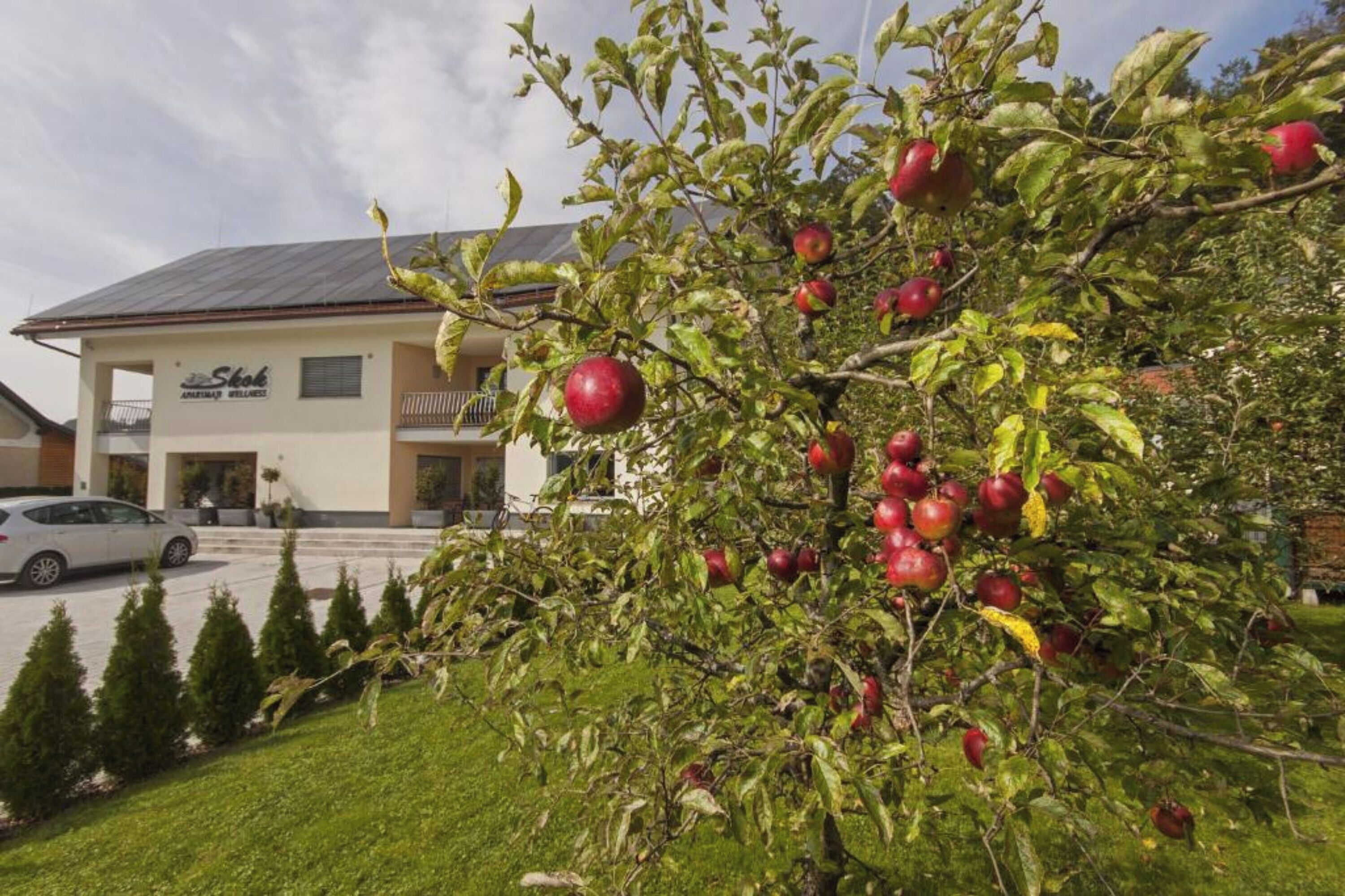 Un edificio con un letrero que dice "Slok" y un árbol con manzanas rojas en primer plano.