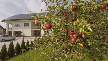 Un edificio con un letrero que dice "Slok" y un árbol con manzanas rojas en primer plano.