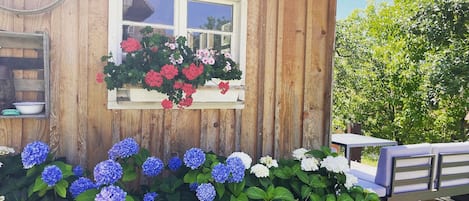 Terrein van de accommodatie