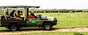 Safari-photo