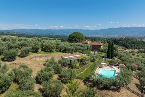Un olivier, une maison en pierre et une piscine.