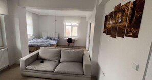 Classic Double Room Single Use | Desk, laptop workspace