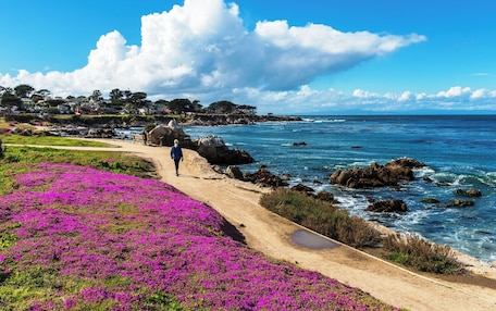 Pacific Grove / Recreation Trail